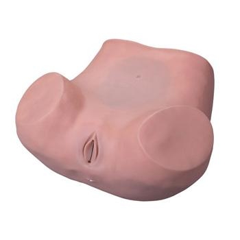 阴道后穹窿穿刺模型（JD/YQC） 新品