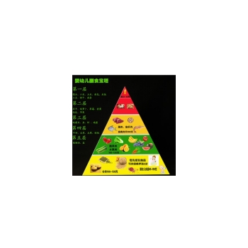 婴儿膳食模型